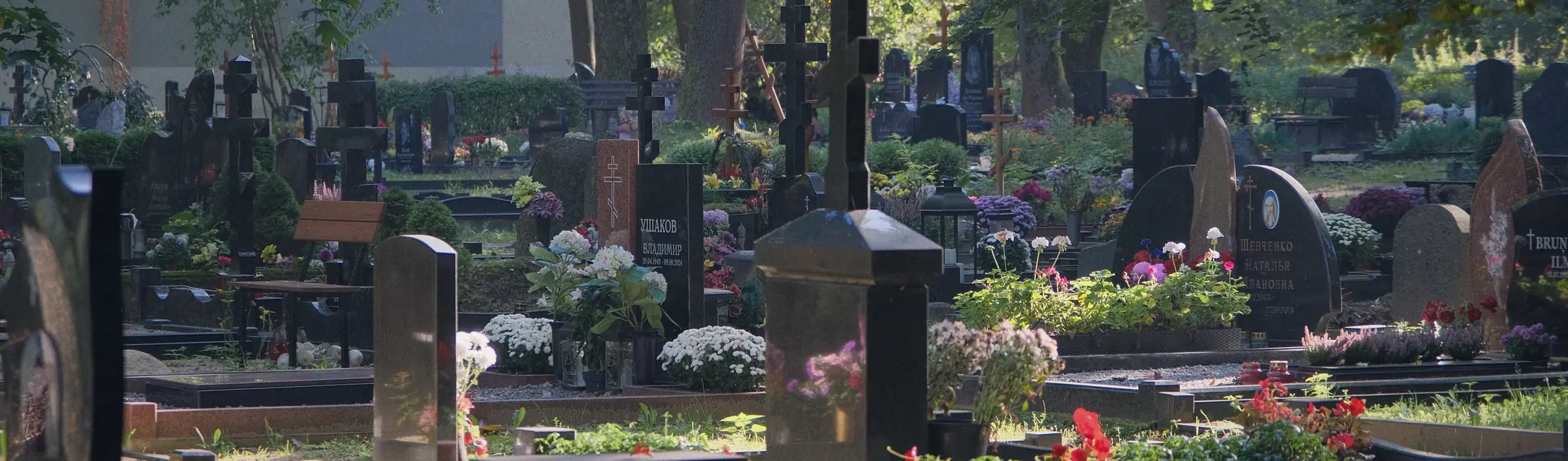 Plašs skats uz pieminekļiem un krustiem kapsētā zem kokiem